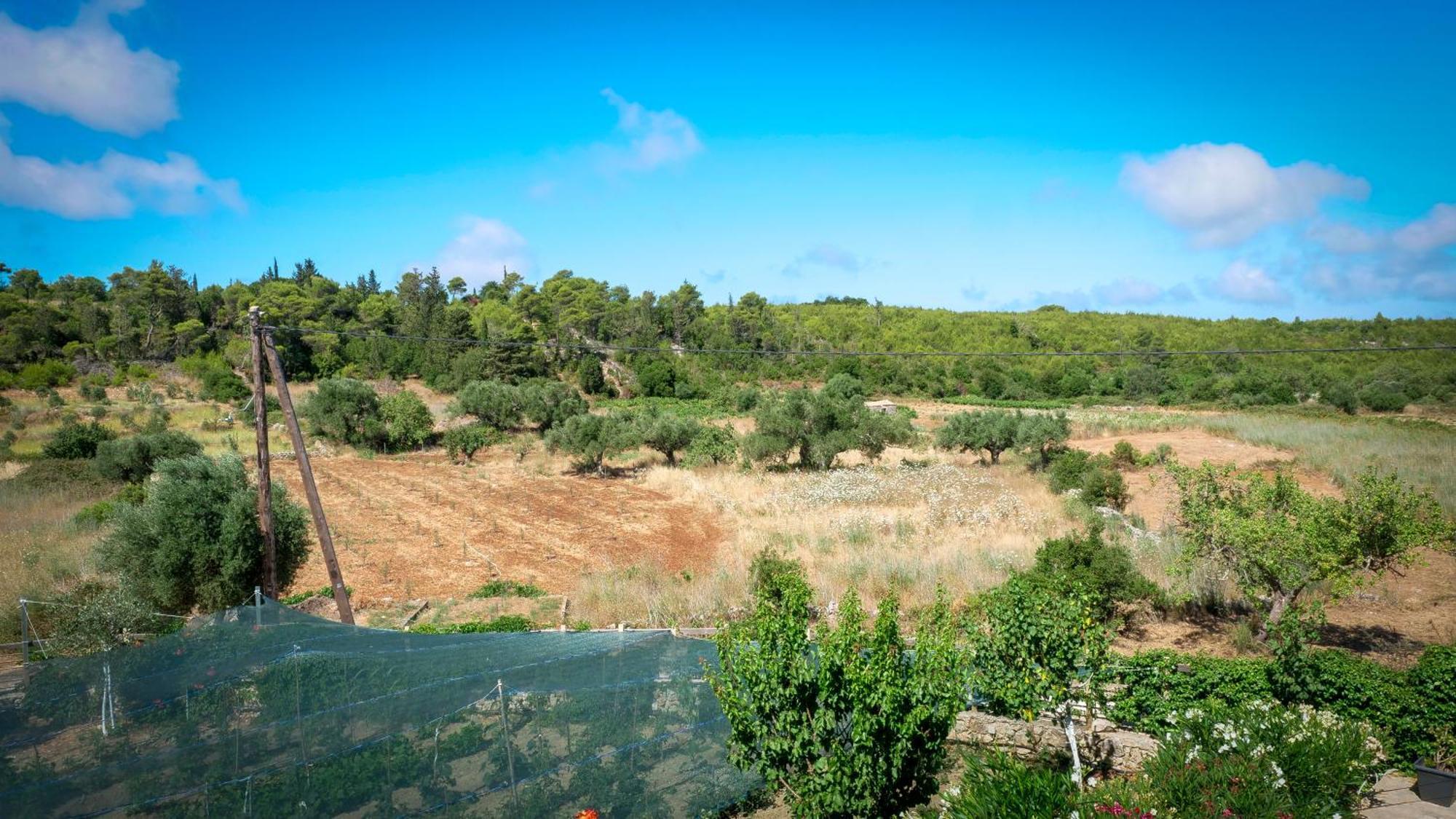 Fterini Sterna & Alletri *