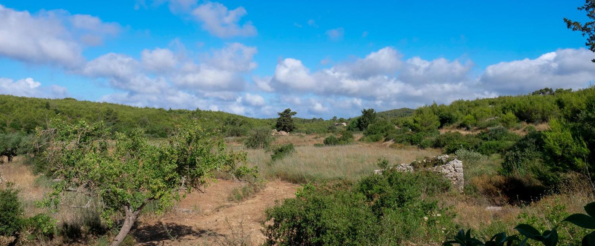 Fterini Sterna & Alletri