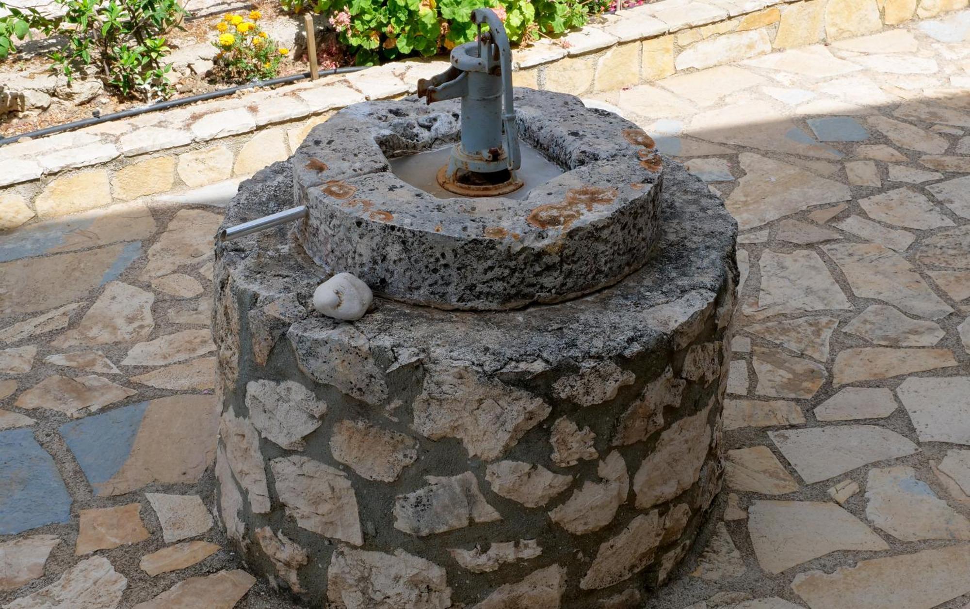 Fterini Sterna & Alletri Agios Leon