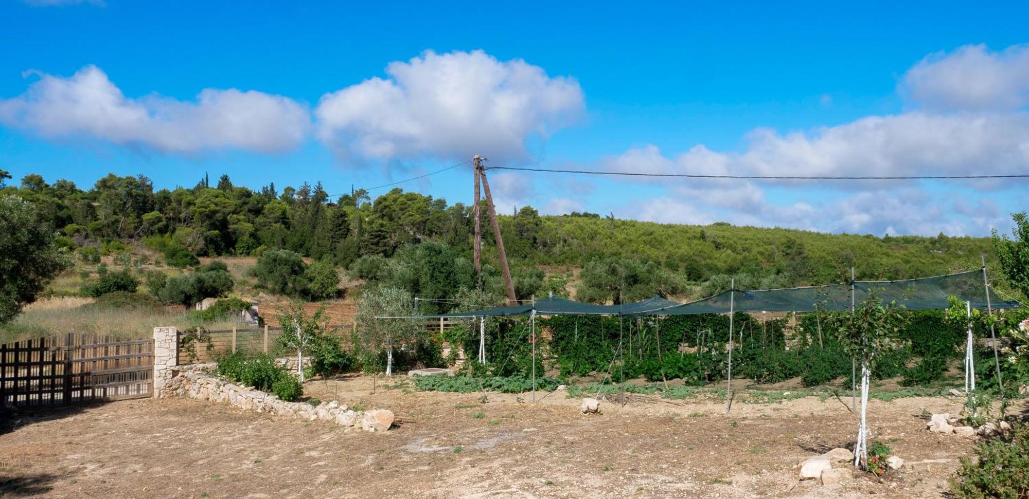 Fterini Sterna & Alletri